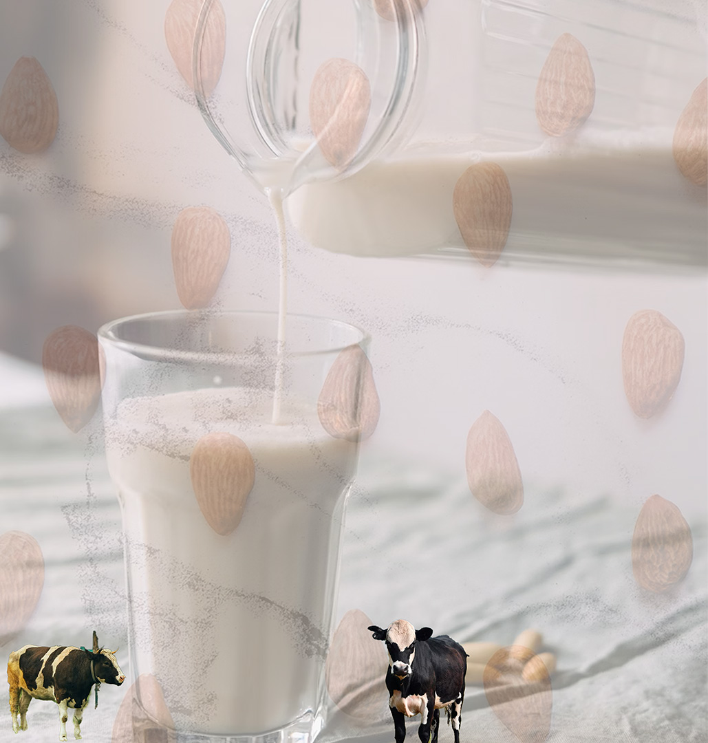  Collage Critique Do we know where does Food Come from?