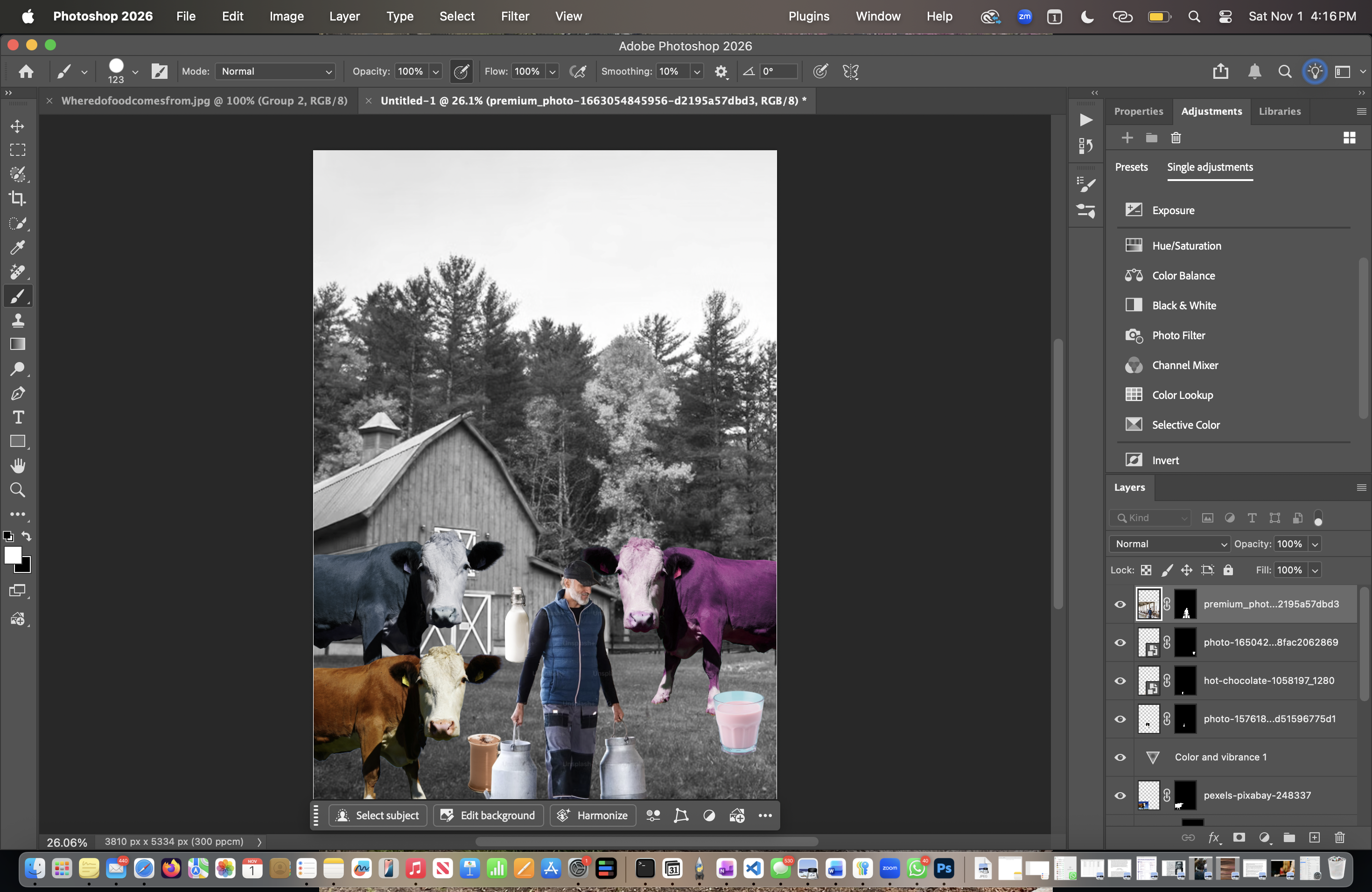  Collage Critique Do we know where does Food Come from?